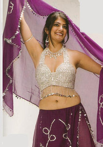Sequin Bead Decorated Belly Dance Costume Bra Top
